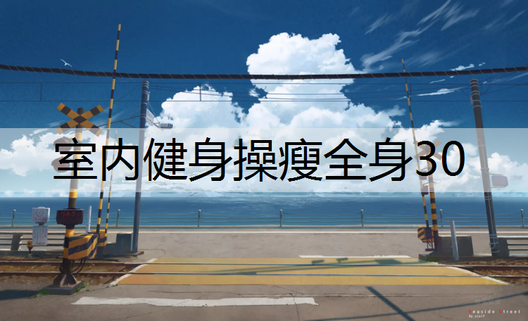 室内健身操瘦全身30