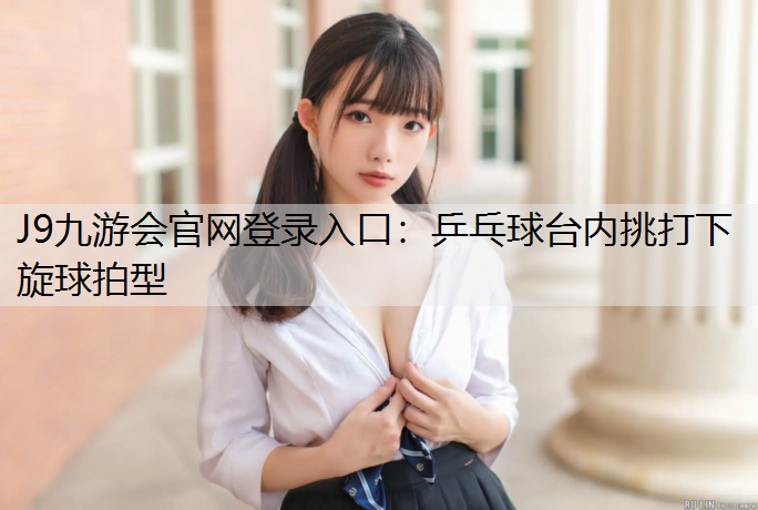 J9九游会官网登录入口：乒乓球台内挑打下旋球拍型
