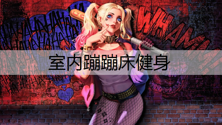 室内蹦蹦床健身