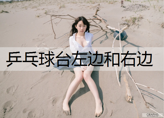 乒乓球台左边和右边